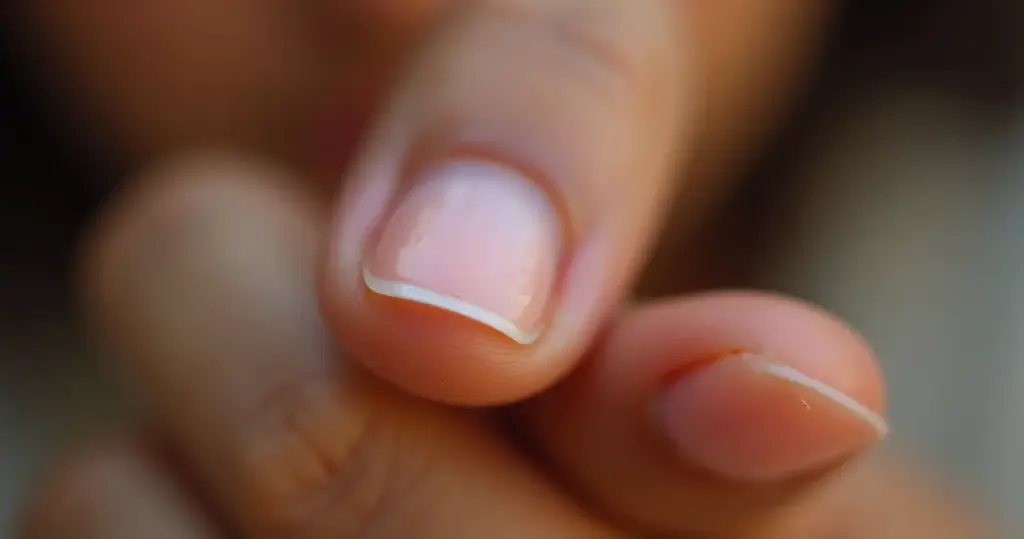 Unha pequena: o segredo dos 5 estilos que definem a elegância